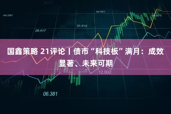 国鑫策略 21评论丨债市“科技板”满月：成效显著、未来可期