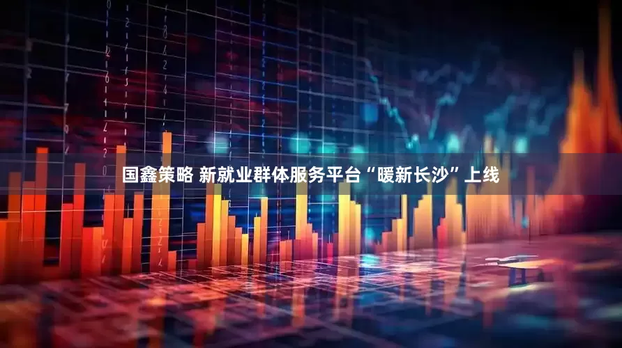 国鑫策略 新就业群体服务平台“暖新长沙”上线