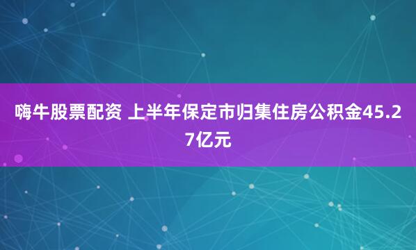 嗨牛股票配资 上半年保定市归集住房公积金45.27亿元